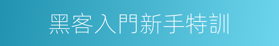 黑客入門新手特訓的同義詞