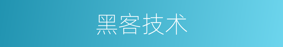 黑客技术的同义词