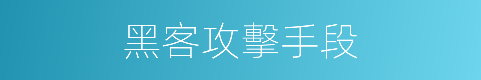 黑客攻擊手段的同義詞
