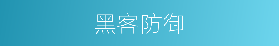 黑客防御的同义词