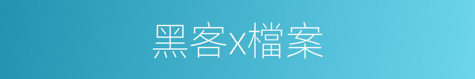 黑客x檔案的同義詞