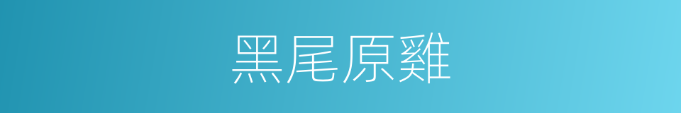 黑尾原雞的同義詞