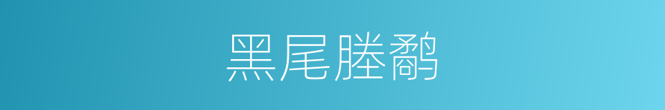 黑尾塍鹬的同义词