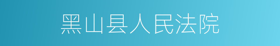 黑山县人民法院的同义词