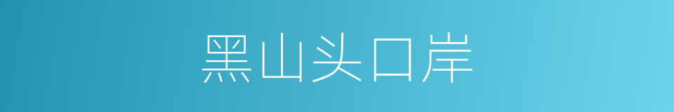 黑山头口岸的同义词