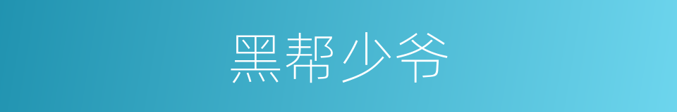黑帮少爷的同义词