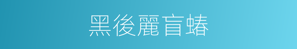 黑後麗盲蝽的同義詞