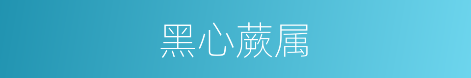 黑心蕨属的同义词