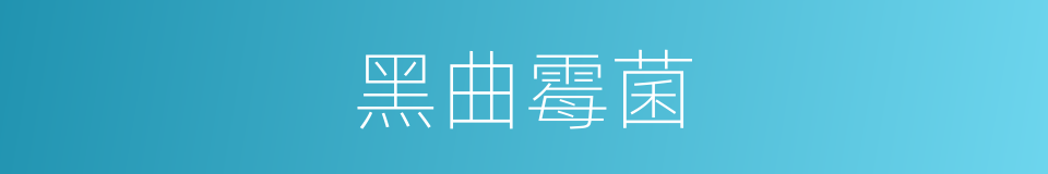 黑曲霉菌的同义词