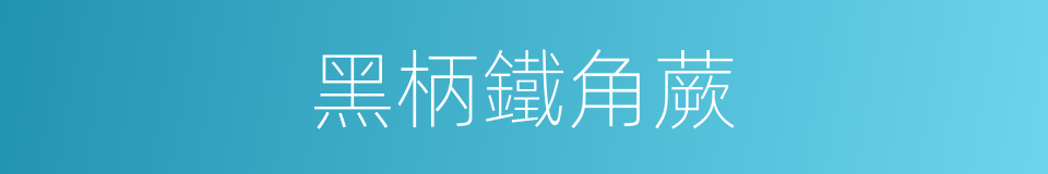 黑柄鐵角蕨的同義詞