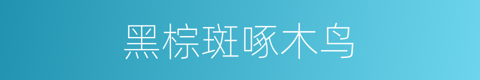 黑棕斑啄木鸟的同义词