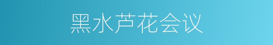 黑水芦花会议的同义词