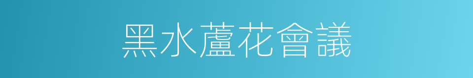 黑水蘆花會議的同義詞