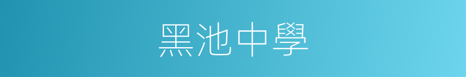 黑池中學的同義詞