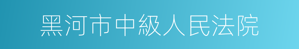 黑河市中級人民法院的同義詞