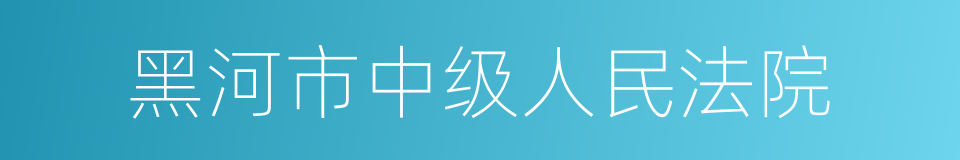 黑河市中级人民法院的同义词