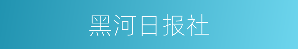 黑河日报社的同义词