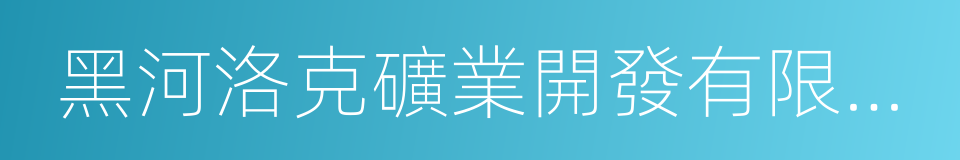 黑河洛克礦業開發有限責任公司的同義詞