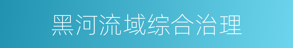 黑河流域综合治理的同义词