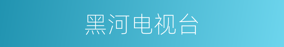 黑河电视台的同义词