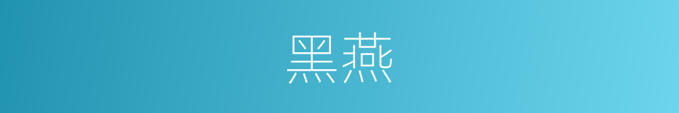 黑燕的同义词