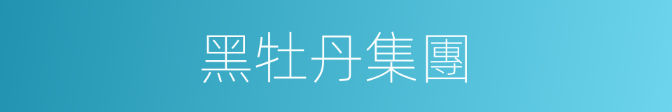 黑牡丹集團的同義詞