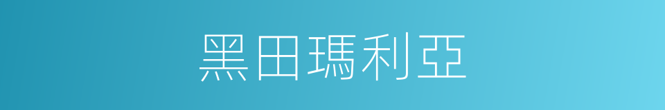 黑田瑪利亞的同義詞