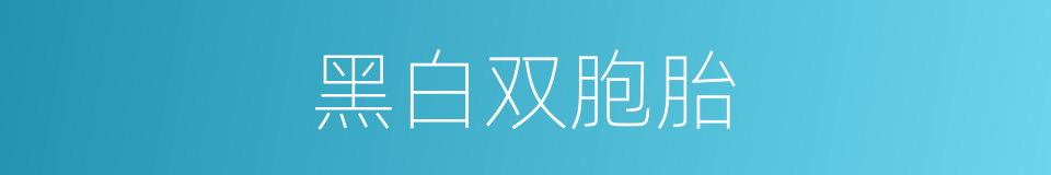 黑白双胞胎的同义词
