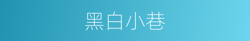 黑白小巷的同义词
