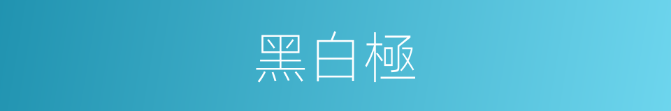 黑白極的同義詞