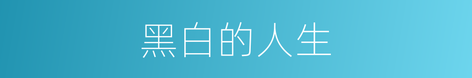 黑白的人生的同义词