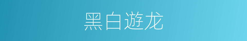黑白遊龙的同義詞