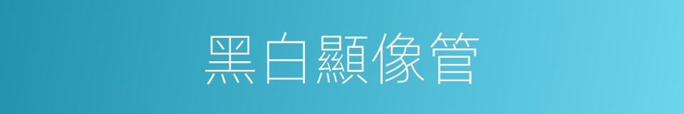黑白顯像管的同義詞