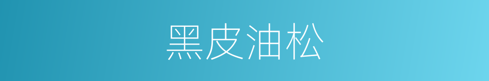 黑皮油松的同义词