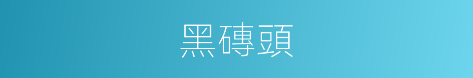 黑磚頭的同義詞