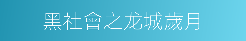 黑社會之龙城歲月的同義詞