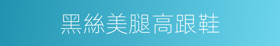黑絲美腿高跟鞋的同義詞