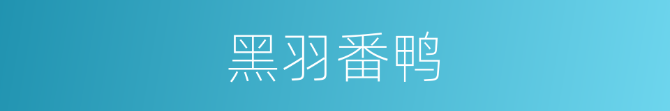 黑羽番鸭的同义词