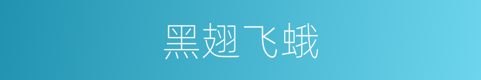 黑翅飞蛾的同义词