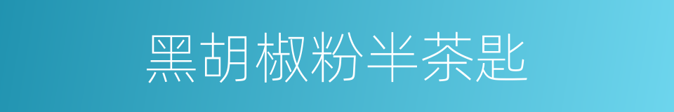 黑胡椒粉半茶匙的同义词
