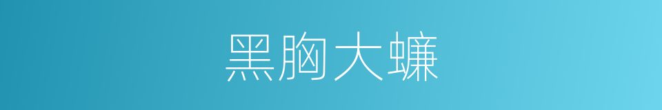 黑胸大蠊的同义词