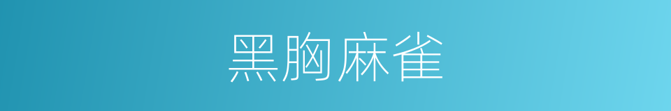 黑胸麻雀的同义词