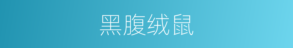 黑腹绒鼠的同义词