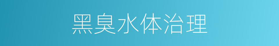 黑臭水体治理的同义词