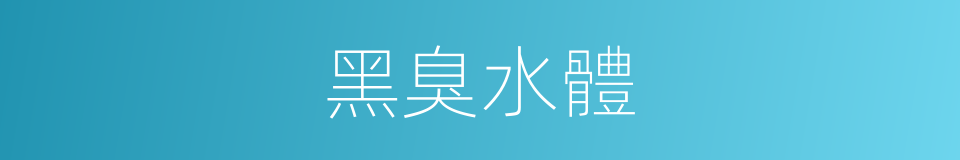 黑臭水體的同義詞