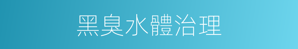 黑臭水體治理的同義詞
