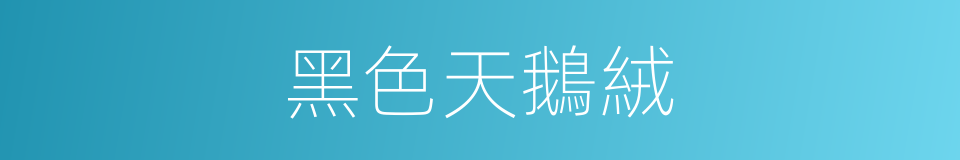 黑色天鵝絨的同義詞