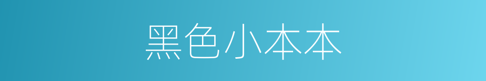 黑色小本本的同义词