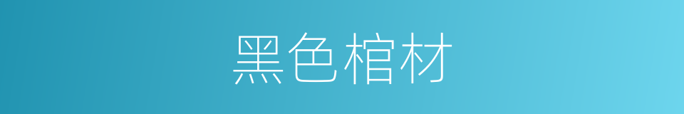 黑色棺材的同义词