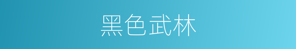 黑色武林的同义词
